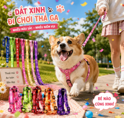 Dây dắt chó cao cấp nhiều màu sắc, thiết kế chắc chắn giúp thú cưng di chuyển an toàn và thoải mái khi đi dạo. Khám phá dây dắt thú cưng chất lượng tại HomePet Pet Shop.