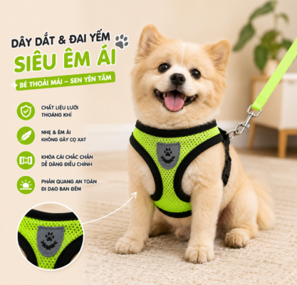 Yếm ngực thú cưng cao cấp cho chó với chất liệu lưới thoáng khí, mềm mại, giúp phân tán lực kéo và mang lại sự an toàn, thoải mái khi đi dạo. Mua yếm ngực chất lượng tại HomePet Pet Shop.