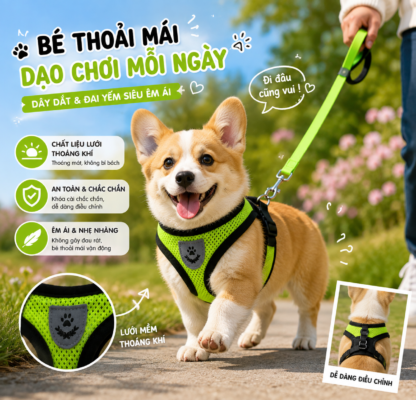 Yếm ngực thú cưng cao cấp giúp chó đi dạo an toàn với chất liệu lưới thoáng khí, thiết kế ôm sát cơ thể và dây dắt chắc chắn. Khám phá yếm ngực chất lượng tại HomePet Pet Shop.