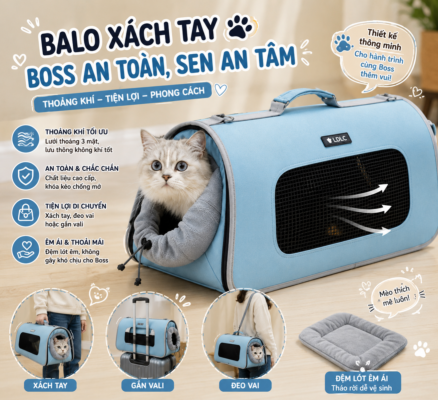 Túi đựng thú cưng cao cấp giúp chó mèo di chuyển an toàn với thiết kế thoáng khí, đệm êm và quai xách tiện lợi. Khám phá mẫu túi chất lượng tại HomePet Pet Shop.